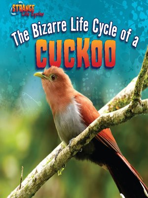 cover image of The Bizarre Life Cycle of a Cuckoo